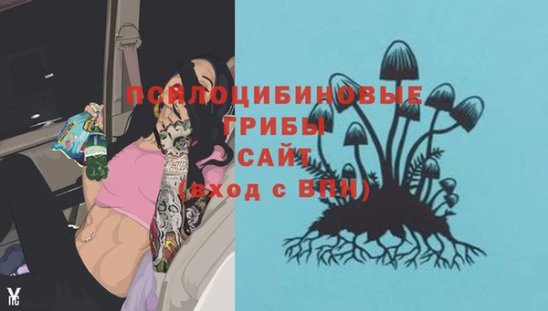 2c-b Баксан