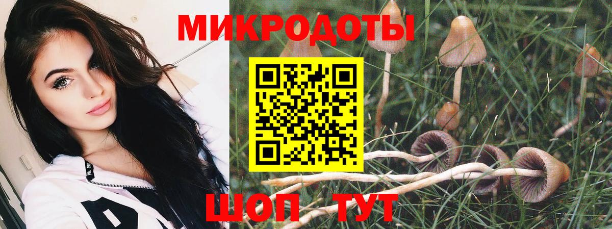Учалы  Псилоцибиновые грибы Cubensis  Вход с VPN 